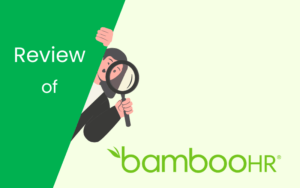 Read more about the article BambooHR Review