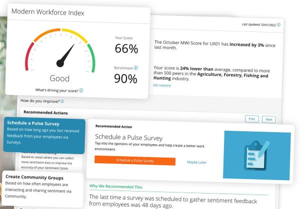 Reporting and Analytics: Paylocity Review